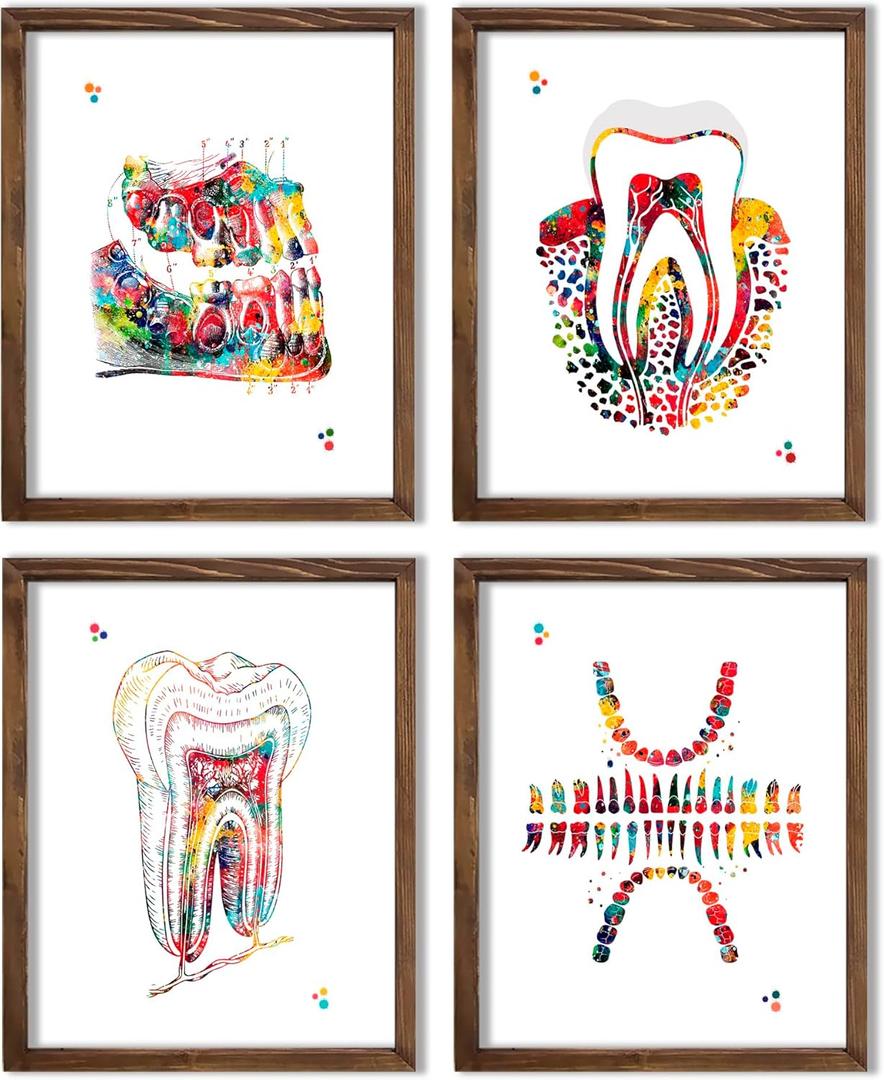 Watercolor Dental Anatomy Illustration Art Print Set for Dentist Office Reception Decor, Orthodontist Clinic Accent, Hygiene Room Motivation, Home Study Reference, Lab Inspiration Corner, Med Student Surprises, Aspiring Dentist Tokens, Hygienist Appreciation Gifts, Ortho Assistant Honors, Oral Surgeon Keepsakes, Graduation Markers, Parent Pride Souvenirs, Festival Smiles Tokens - 8x10 Unframed Print Set