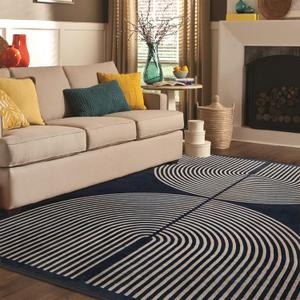 Modern Rainbow Area Rug 5x7 Black Cozy Soft Stain Resistant Non-Slip Non-Shedding Washable Rug, Farmhouse Rug for Living Room Dining Room Bedroom Balcony