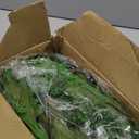 CQURE 60 Pack 420Ft Artificial Ivy Fake Vines,Ivy Garland Greenery Garland Fake Hanging Plants Vines Aesthetic Green Leaves for Bedroom Wedding Party Garden Wall Room Decor