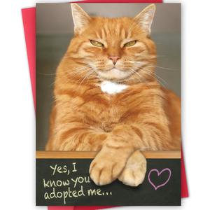 16 x Funny Dad Fathers Day Card from Cat, Humor Cat Dad Gifts on Father's Day, Gift for Pet Cats Lover