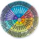 party greeting Wheel of Emotions Feelings Pillow Round Velvet Feelings Wheel Emotion Throw Pillow Circle Seating Floor Cushion for Office Home Room Sofa Decor Counselor Physical Therapist Gifts, Medium