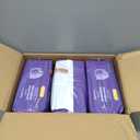 Amazon Basics Incontinence Underwear for Women, Protective, Disposable, Postpartum, Maximum Absorbency, Small, Lavender, 72 Count (3 Packs of 24)
