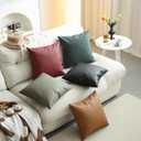 Couch throw pillow cover 18*18 Inch Spring indoor outdoor sage green double-sided faux leather pillow cover for sofa living room bedroom home deco modern design room deco boho deco throw pillow cover