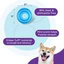 Outward Hound by Planet Dog Snoop Dog Toy TreatDispenser Puzzle Ball, Interactive Slow Feeder, Medium to Large Dogs, Bouncy & Mint-Infused, Blue, 5"