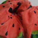 HUAWELL 2 Piece Watermelon Slice Realistic Soft Velvet Foam Pillow