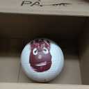 WILSON Cast Away Volleyballs - Mini and Official Size