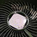 Portable Misting Fan for Outside, 30000mAh Rechargeable Outdoor Cooling Fan with Dual High-Pressure Mist, 8-Blade Airflow, 4 Speeds, 8-Gallon Tank, 90 Oscillation, for Patio, Camping, Sports, Jobsite 