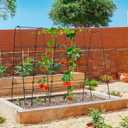 Cucumber Trellis for Climbing Plants, Outdoor Garden Arch 5.3x5.3ft Metal Plant Trellis Arch Support Vegetable Fruit Tomato Vine Peas Beans Frame for Raised Bed, Black
