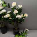 Artificial Camellia Tree 3.3 FT 2 Pack, Christmas Decor Fake Camellia Plant with Blooming Flowers&Natural Wood Trunk, Greenery Faux Potted Plant for Home Office Winter Indoor (White, 3.3FT)