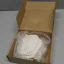 10 PCS Large Scallop Shells 4-5 inch Natural White Scallop Shells from Sea Beach for DIY Craft Decor