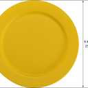 Berglander Plastic Plates Set of 12 Pieces 10", Mutil Color Reusable and Unbreakable Flat Dinner Plates, Salad Plates, Pasta Bowls, Dishes Set Easy to Carry for Home, Garden, Picnic, Camping