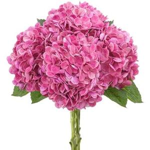 LINSIE 4 Pcs Artificial Hydrangea Silk Flowers with Stems, 19.7" Rose Pink Faux Hydrangeas Bouquet, 240 Petals, Suitable for Shady Places & Waterproof Fake Flower for Outdoor Wedding Home Decor