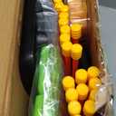 Bow and Arrow Set for Kids, 2-Pack LED Light Up Archery Set with 20 Suction Cup Arrows, Indoor and Outdoor Toy for Boys Girls Age 4-8 8-12 with Standing Target&2 Quivers, Birthday Gift 3-12 Years Old