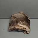 Kate Boho Backdrop Arch Photography Backdrops Beige Wall Maternity Photo Background, 7x5ft