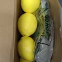 24 Pcs Yellow Fake Lemons 24 Pcs Faux Lemon Leaves Artificial Fruits Lifelike Simulation Fake Lemon Decor for Home Kitchen Table Cabinet Holiday Party Photography Props