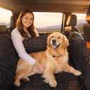 Boops & Floofs Convertible Back Seat Extender for Dogs, Half Seat Extender, Non-Slip Waterproof Hard Bottomed Hammock, Allows Passengers (PAT Pending 63/550,158), Black