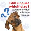 Standard Rear Splint for Dogs with Injuries, Arthritis, Fractures or Sprains, Durable & Lightweight Rear Splints for Rehability Treatment & Post-Surgery Protection for Pets - L