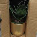 Hollyone Artificial Snake Plants 9" Faux Agave Succulent Plant Potted in Gold Pot Fake Sansevieria Aloe Tropical Plant for Desk Modern Office Home Bathroom Indoor Outdoor Decor