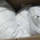 Casper Sleep Essential Pillow 2-Pack, Standard Size Medium Soft Feel, Down-Alternative Fill, Supports Side, Back & Stomach Sleepers