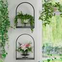Black Metal Wall Plant Holder - 2-Pack Wall Mounted Plant Stands and Hanging Holders for Indoor Planter and Flower Pot - Arch Decor Shelf for Plant Storage (Pot Not Included)