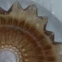 Gold Wall Sconce Set of 2 with Amber Glass Shades Modern Mid Century Bathroom Vanity Wall Light Fixtures Industrial Brushed Brass Wall Lamp for Bedroom Mirror Living Room Restaurant