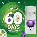 Air Wick Plug in Scented Oil Refill, 10ct, Lavender & Chamomile, Air Freshener, Essential Oils, Eco Friendly