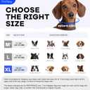 Inflatable Dog Cone Collar with Detachable Sturdy Shield,Soft&Lightweight-Ideal for Post-Surgery Recovery and Daily Wear,Suitable for Small Medium Large Dog Breeds(Blue,XL) (Blue, XL)