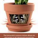 INGOFIN Terracotta Pots Set with Saucer - 5/6/7 inch Ceramic Clay Planters with Drainage Hole, Garden Flower Succulent Pots with Tray for Indoor Outdoor Plants, Set of 3, 5/6/7 inch -3 pcs