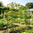 2 Pack Cucumber Trellis, Trellis for Climbing Plants Outdoor, 58" L x 14" W x 47" H Heavy Duty Metal Garden Plant Support for Raised Beds, Peas, Okra, Vines & Flowers