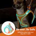 Premium Chihuahua Harness and Leash Set - Ultra-Comfy & Secure Dog Harness for Chihuahua
