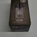 Oliver 1-Light Dark Bronze Plug-In or Hardwire Pendant Lighting with 15 ft. Cord