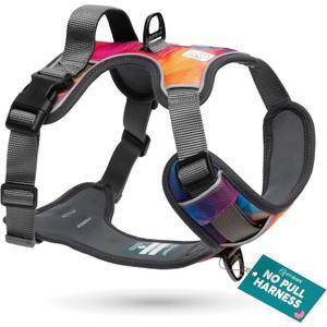 Embark Adventure Dog Harness, Reflective Trim No Pull Dog Harness for Large Dogs - Military Grade Nylon, Front Clip with Gel Lined Handle. Soft & Padded Puppy (Aurora)
