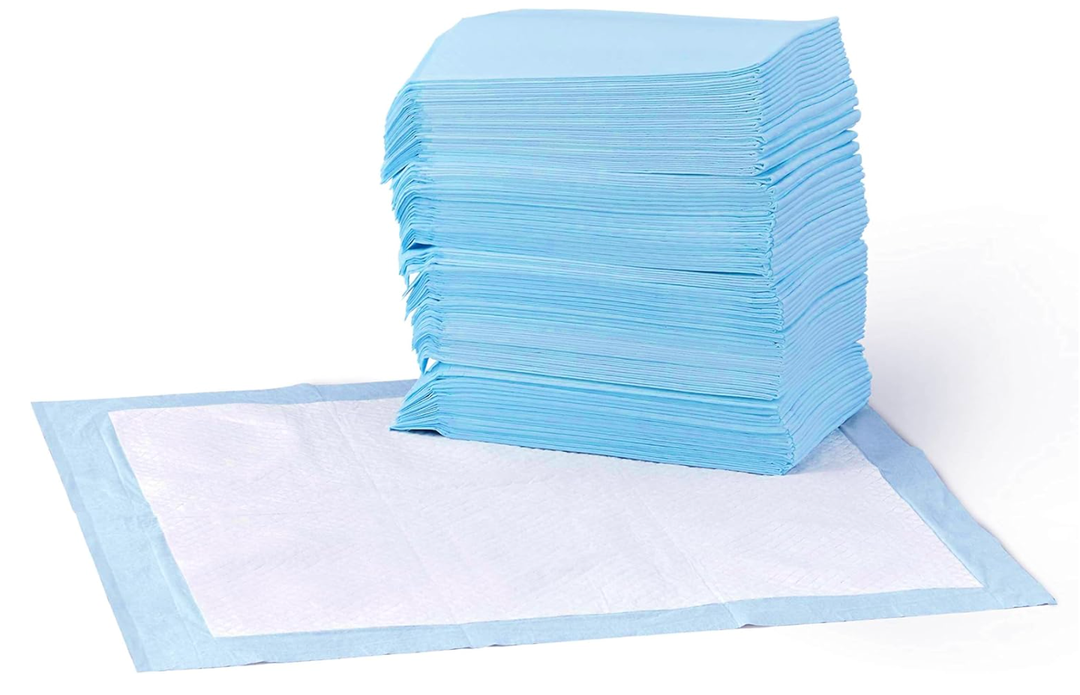 Basics Dog and Puppy Pee Pads, 5Layer LeakProof Super Absorbent, QuickDry Surface, Potty Training, Regular (22x22"), 50 Count, Blue & White