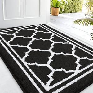 Buganda Indoor Door Mat, Dirt-Resistant and Absorbent Doormat, Anti-Slip, Low Profile Floor Mats for Inside Entryway, Front, and Back Door Entrance (32x20 Inches, Black)