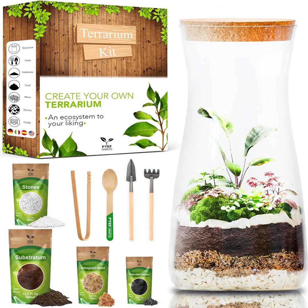 DIY Terrarium Kit for Adults Build Your Own SelfSustaining Closed Ecosystem 34floz (1Liter) Glass Terrarium Succulents, AirPlants, Fittonia, Fern Plants NotIncluded