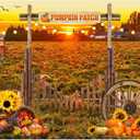 8X6FT Fall Backdrop Photography Pumpkin Patch Backdrops Autumn Harvest Backgroud Rural Scenery Back Drop Party Decorations Banner XY81