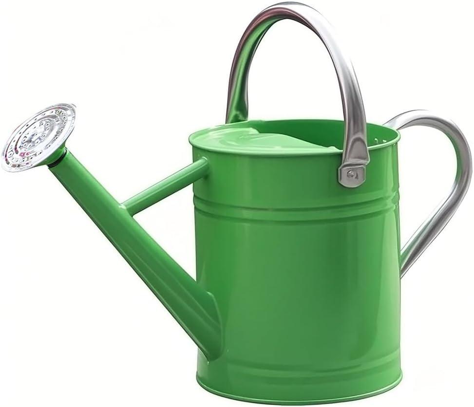 Metal Watering Can, One Gallon Watering Cans Stainless Steel for Outdoor Indoor Garden Plants Watering (Stainless Steel Handle Green)