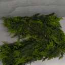 9FT Christmas Cedar Garland Artificial Realistic Green Faux Real Touch Winter Pine Garland for Mantle Fireplace Wall Table Indoor Outdoor Decoraiton