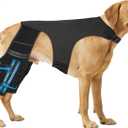 Dog Knee Brace for Torn ACL Hind Leg, Adjustable Hip Support to Reduce Pain, 4 Stabilizers Dog Leg Braces for Back Leg, CCL, Ligament Injuries & Luxating Patella, L