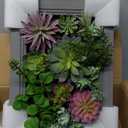 3D Artificial Succulent Wall Art DIY Floral Framed Fake Flowers Arrangement Wall Decor for Room Decoration Background Living Outdoor Balcony Porch (Size 1, Colorful)