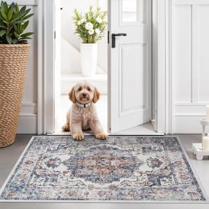 Hallway Washable Runner Rug - 2x3 Kitchen Rugs Entryway Rug Runner Vintage Soft Floor Mat Non Slip Indoor Farmhouse Carpet for Bathroom Living Room Bedroom (2 X 3, Brick)