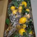Artificial Lemon Branches 8 Heads per Stem 4 Pack Faux Lemons with Leaves Kitchen Table Centerpiece Decor Fake Lemon Tree for Vases Farmhouse Party Summer Home Yellow Decorations