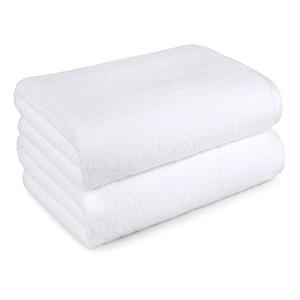 Amazon Basics 2 Pack Towel 30x54