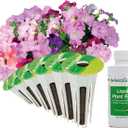 AeroGarden Cascading Petunias Seed pod Kit for AeroGarden Hydroponic Indoor Garden, 6-Pod