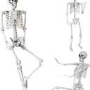 Wocst 5.4Ft Halloween Life Size Human Skeleton with Movable Joints for Halloween Props Decorations