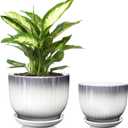6.7 + 5.5 Inch Ceramic Plant Pots,Planters with Drainage and Saucer,Indoor Pots for Plants,Modern Flower Pots for Home and Office, Gray + White