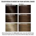AGE beautiful Permanent Hair Color Dye Liqui-Creme & Developer 20 Volume Set | 100% Gray Coverage | Anti-Aging Haircolor | Biotin for Thicker, Fuller, Healthier Hair | Professional Salon Coloring (7NN Dark Intense Blonde)