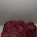 Burgundy Plush Rug for Living Room Fuzzy Carpet for Bedroom Dorm, Non-Slip High Pile Rug, Shag Rug for Playroom Nursery Home Office Decor 5X7 Ft