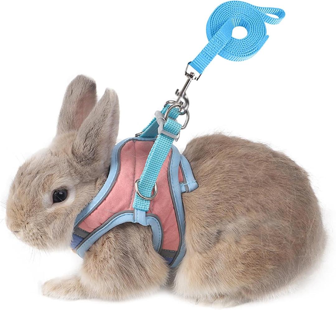 Adjustable Bunny Harness and Leash Set Double Buckle with Reflective Strips Rabbit Vest Pets Stuff Suitable for Rabbit Walks Accessories (Powder Blue, M) Adjustable Bunny Harness and Leash Set Double Buckle with Reflective Strips Rabbit Vest Pets Stuff Suitable for Rabbit Walks Accessories (Powder Blue, M)