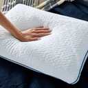 Sleep Innovations Forever Cool Gel Memory Foam Pillow, Standard, White